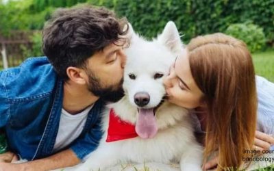 Pets: The Real MVPs of Modern Online Dating